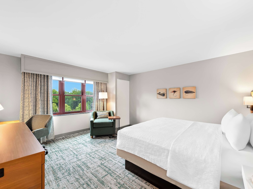 Hampton Inn & Suites Lake Placid - photo 26
