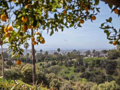 Private Estate Above Foothill Road in Santa Barbara, United States