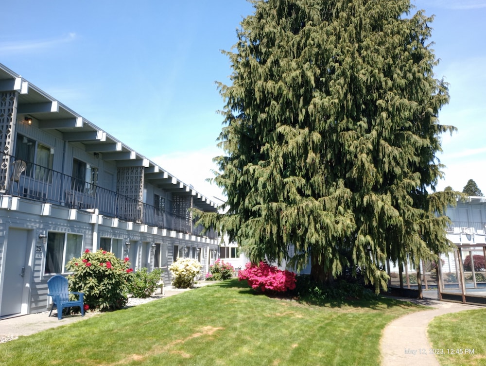 Cocusa Motel - photo 137
