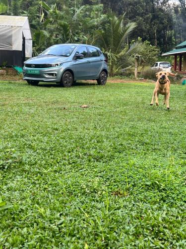 The Green Thumb Farm Stay — Erattupetta