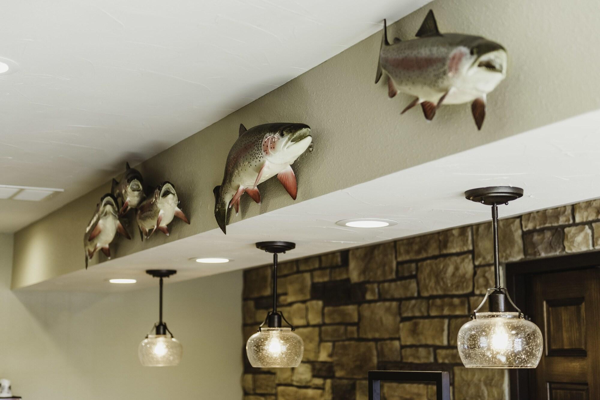 Bass Pro Shops Angler's Lodge - photo 20