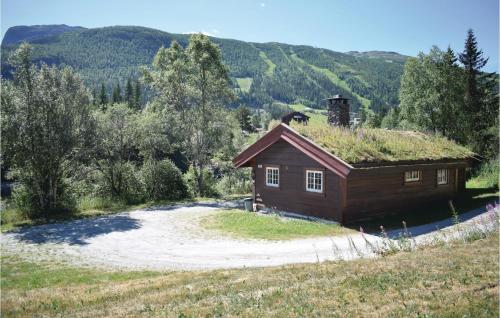 Holde in Hemsedal, Norway