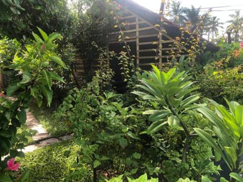 Solomon Beach Hotel - carbon neutral hotel in Negombo
