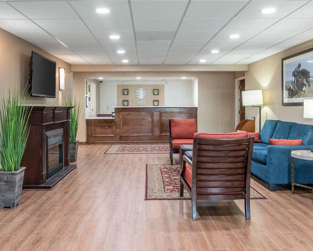 Comfort Inn Saugerties - photo 4