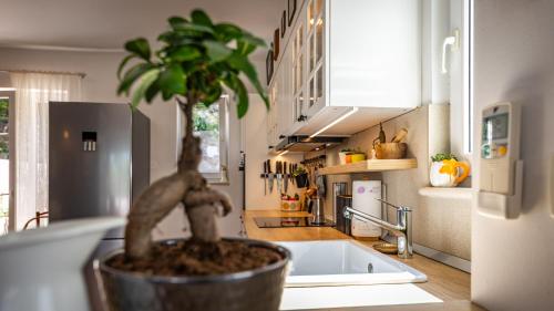 The Architects Home