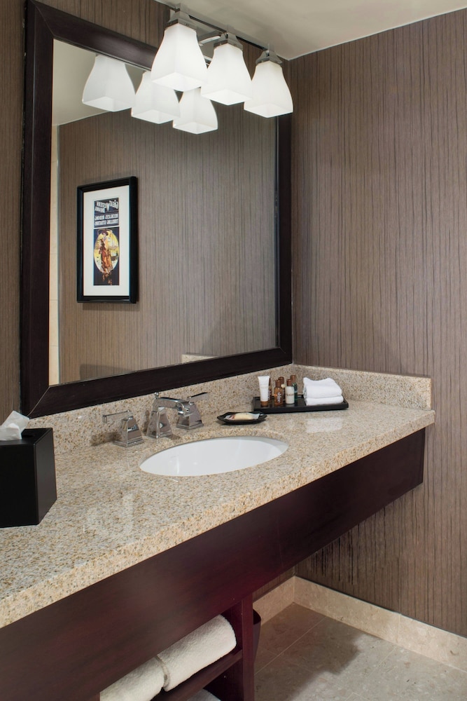 Sheraton North Houston at George Bush Intercontinental - photo 22