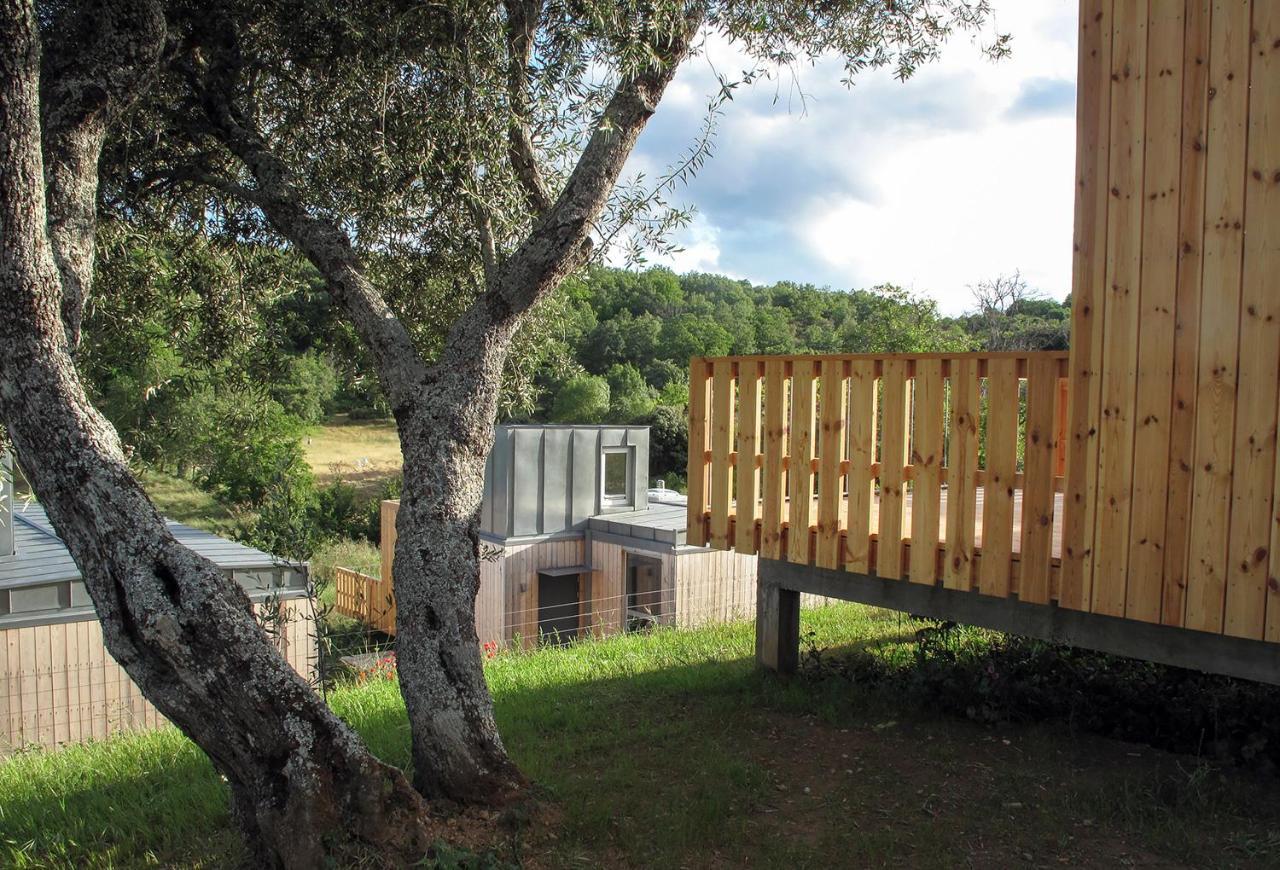 Betula Studios — Braganca — photo 3