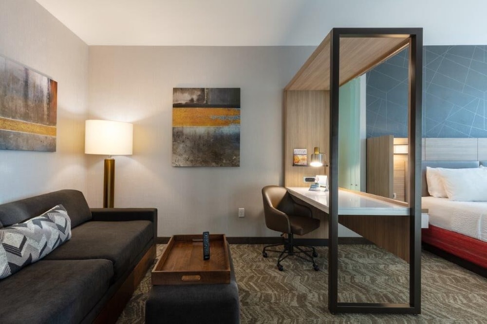 SpringHill Suites by Marriott Suwanee Johns Creek - photo 7