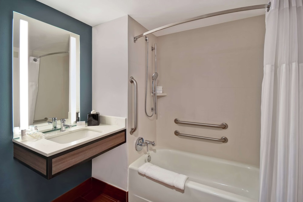 Hilton Garden Inn Houston Galleria Area - photo 21
