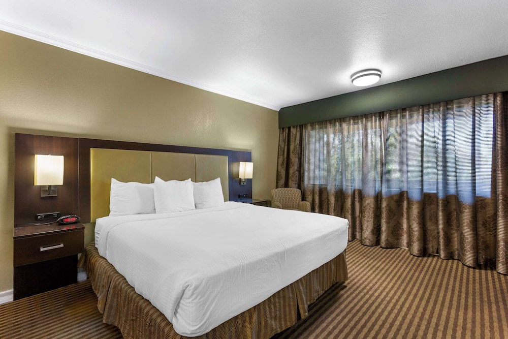 Royal Sun Hotel & Suites - photo 4
