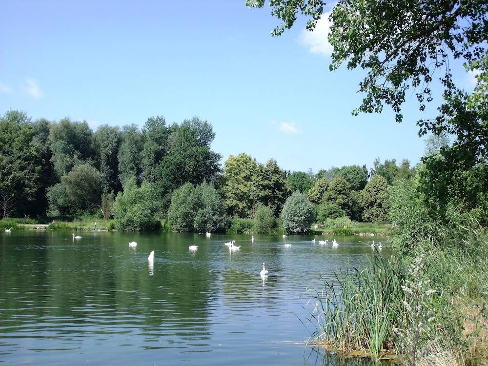 Land view from property