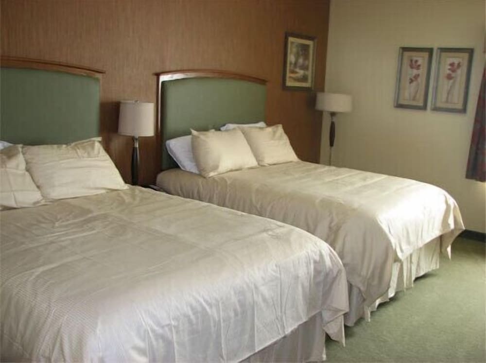 Randolph Inn and Suites - photo 10
