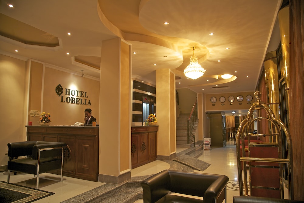 Hotel Lobelia — Addis Ababa — photo 3