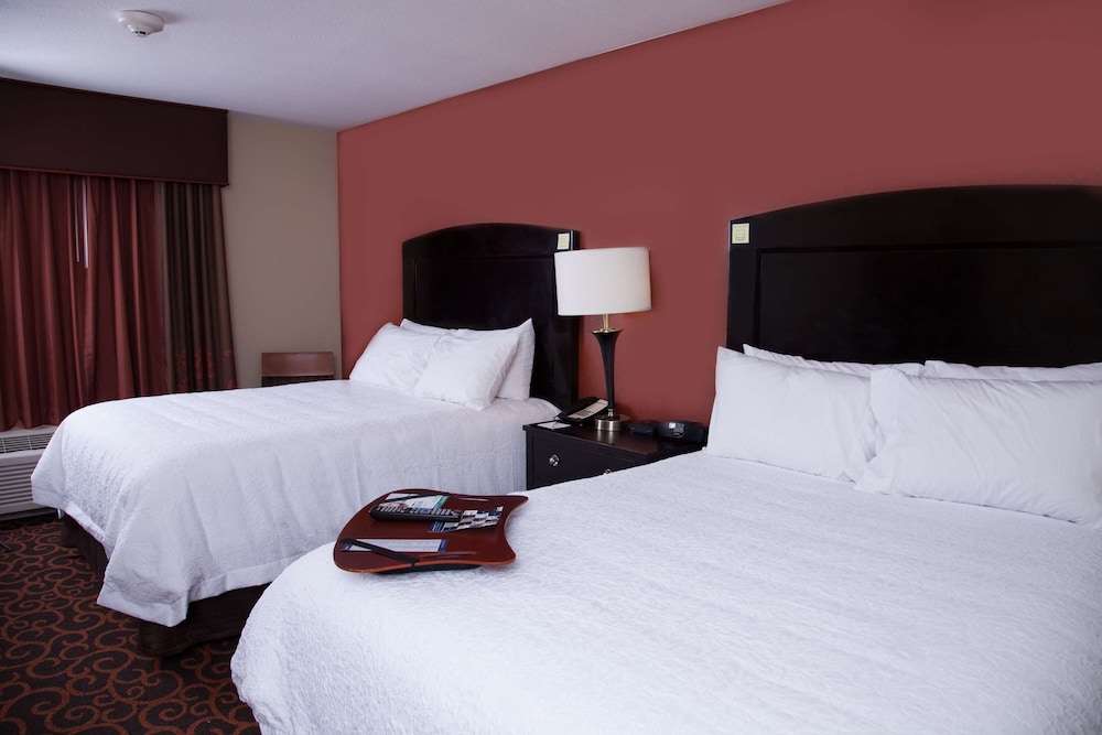 Hampton Inn & Suites Dickinson - photo 18