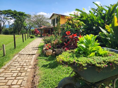 Finca La India Cerro Tusa — Tarso