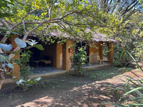 Kamp Kamouflage Kanha in Mandla, India