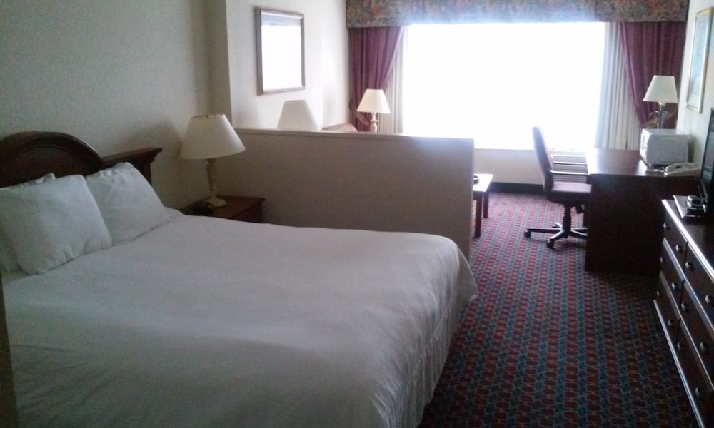 Imperial Swan Hotel & Suites - photo 8