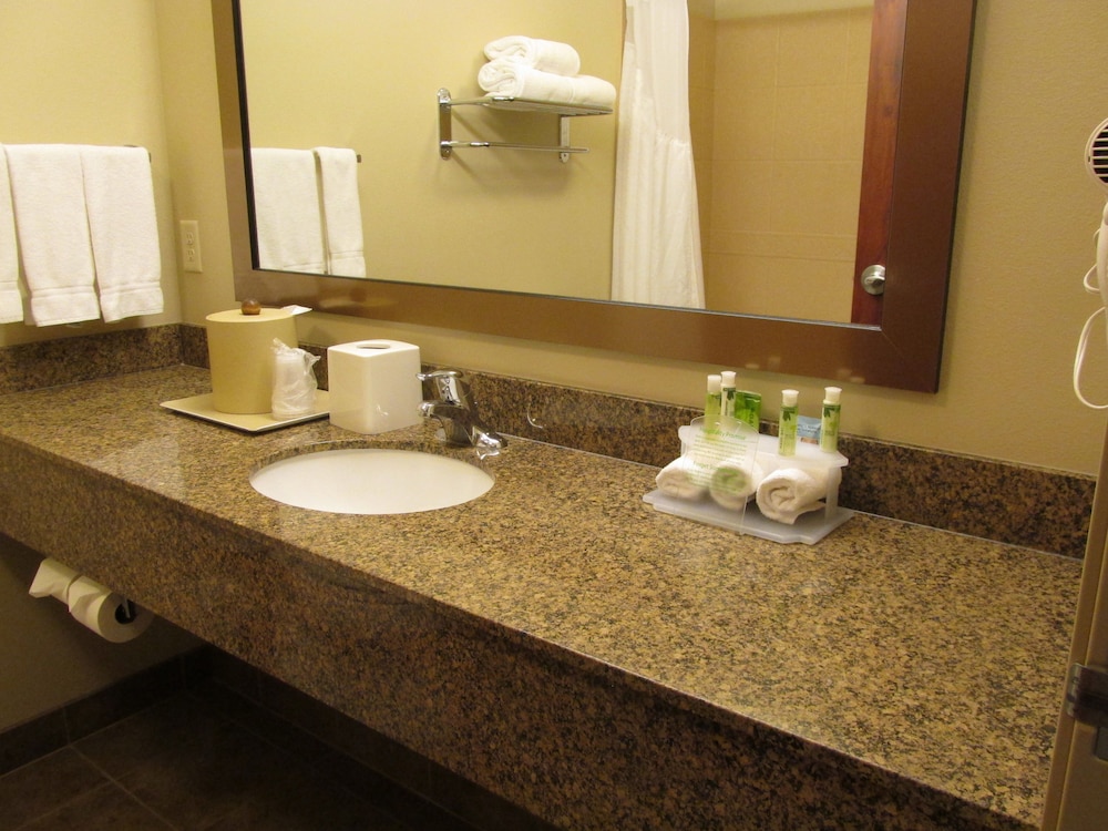 Holiday Inn Express and Suites Sioux Falls SW by IHG - photo 11
