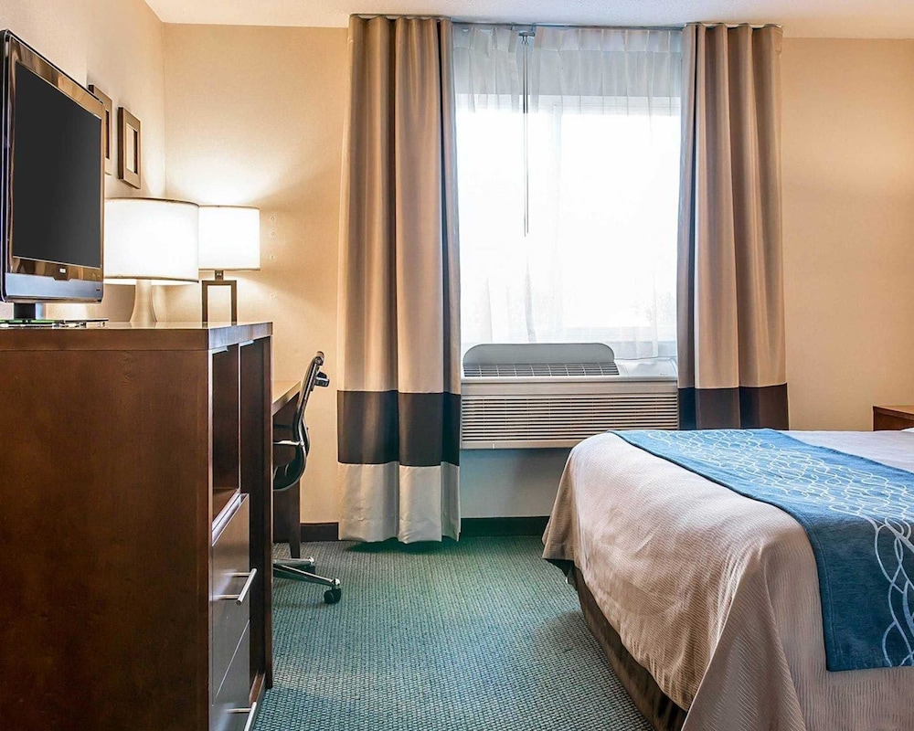 Bluffton Inn & Suites By IHG - photo 8
