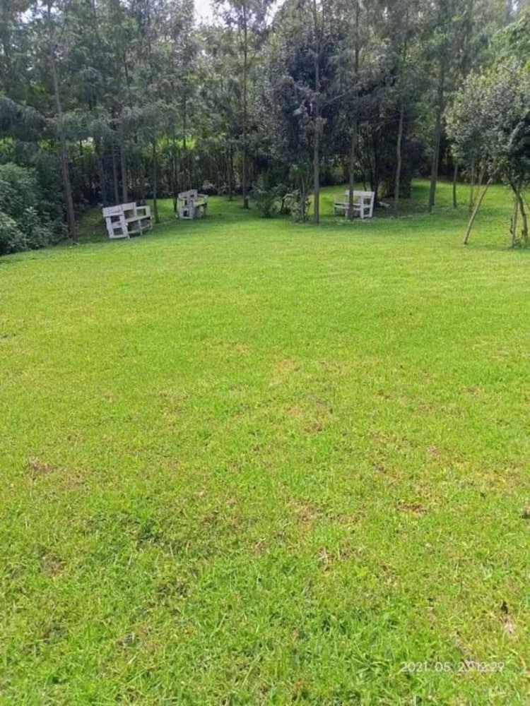 Outdoor banquet area