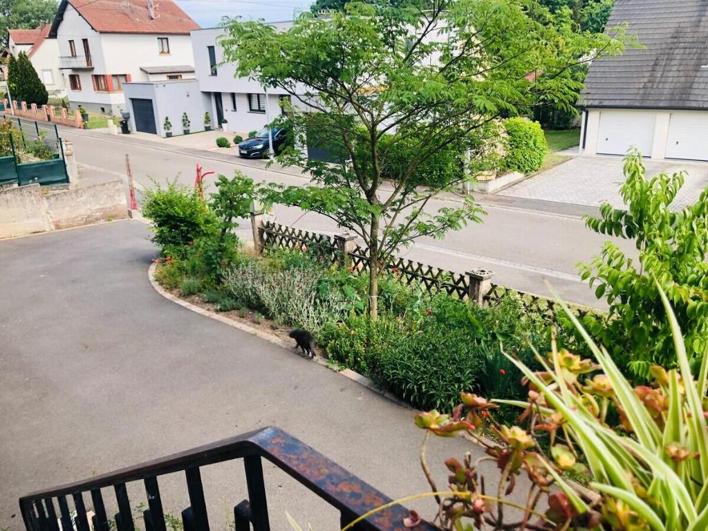 Gite du Ried — Bischwiller — photo 2