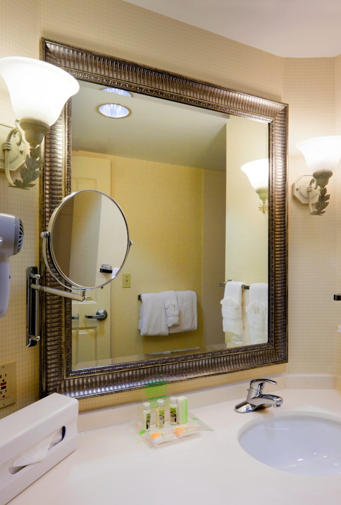 Holiday Inn Chantilly Dulles Expo Center by IHG - photo 22