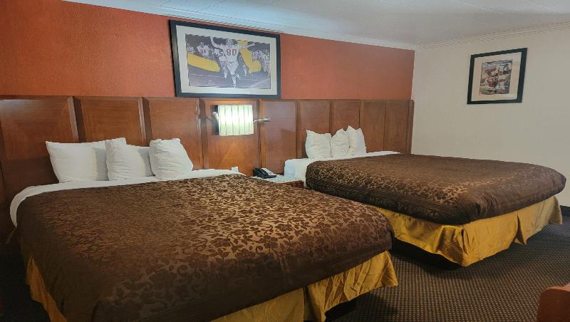 Mountain Star Inn - photo 85