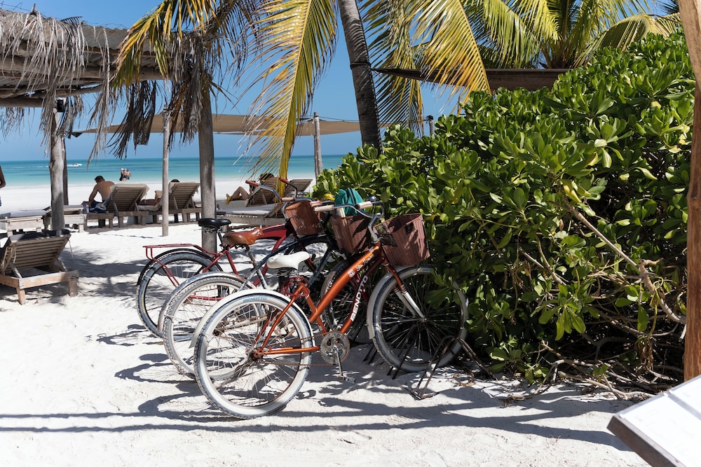 Beach bar