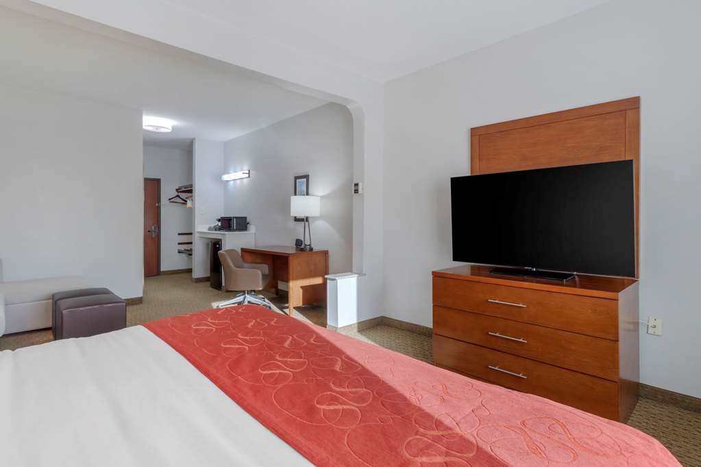 Comfort Suites La Porte Baytown - photo 8