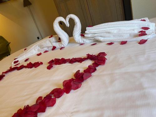 Lace Hotel — Brugge — photo 3