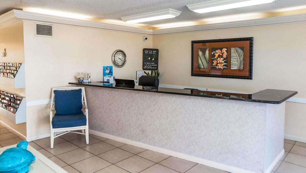 Belleair Beach Resort Motel - photo 5