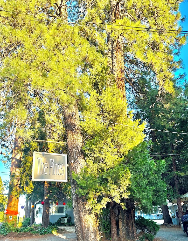 The Pines Inn and Cottages - photo 59