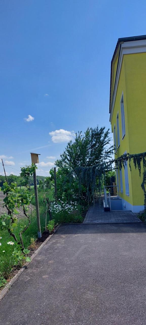 Souterrainwohnung — Gottmadingen — photo 4