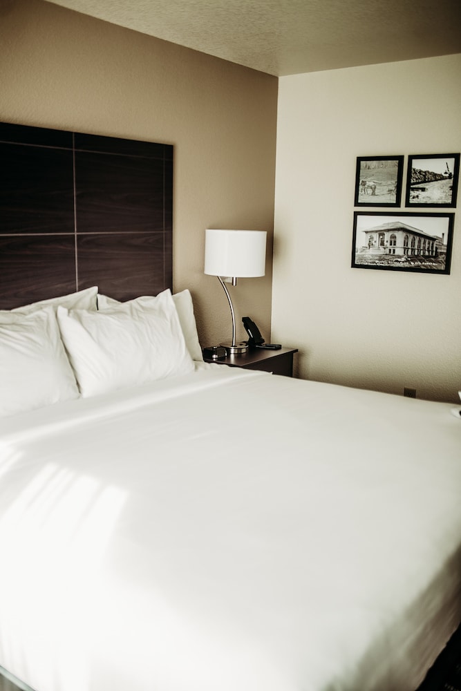 Cobblestone Hotel & Suites International Falls - photo 12
