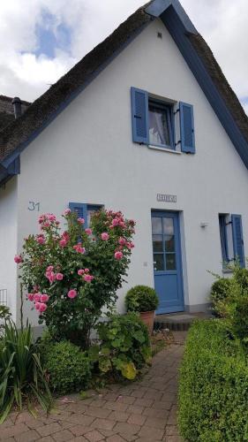 Ferienhaus Seehund — Glowe — photo 5