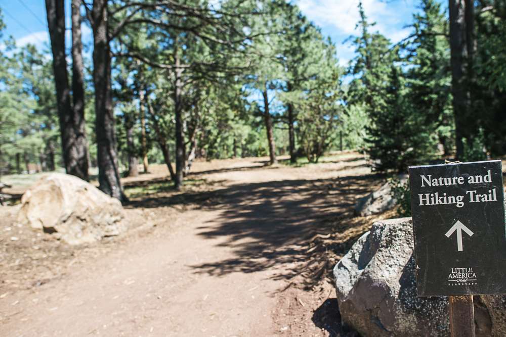 Little America Flagstaff - photo 18