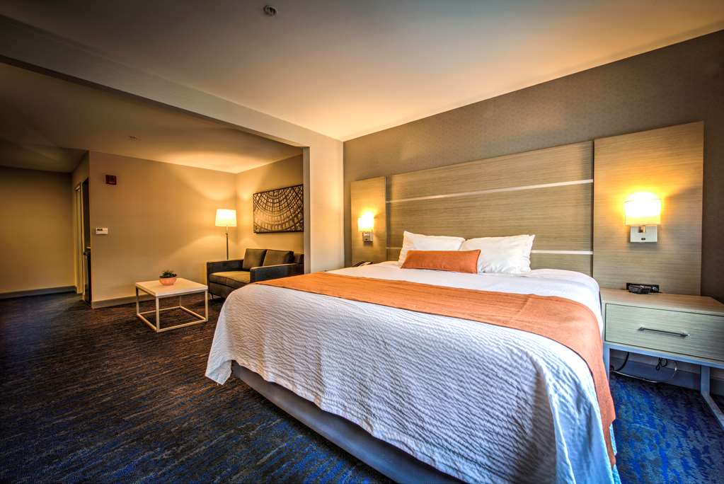 Best Western Plus Media Center Inn & Suites - photo 15