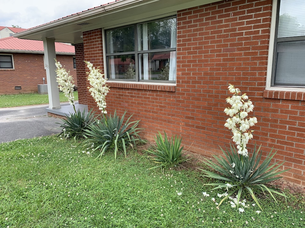 Phillips Historic Motel & Cottages - photo 113