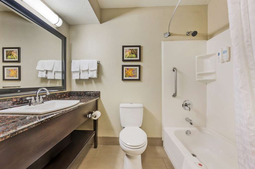 Comfort Inn Airport Turfway Road - photo 7