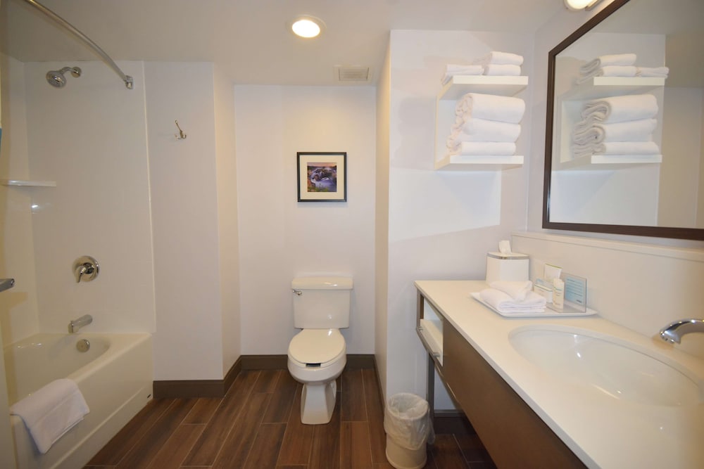 Hampton Inn Salem East Electric Road - photo 28