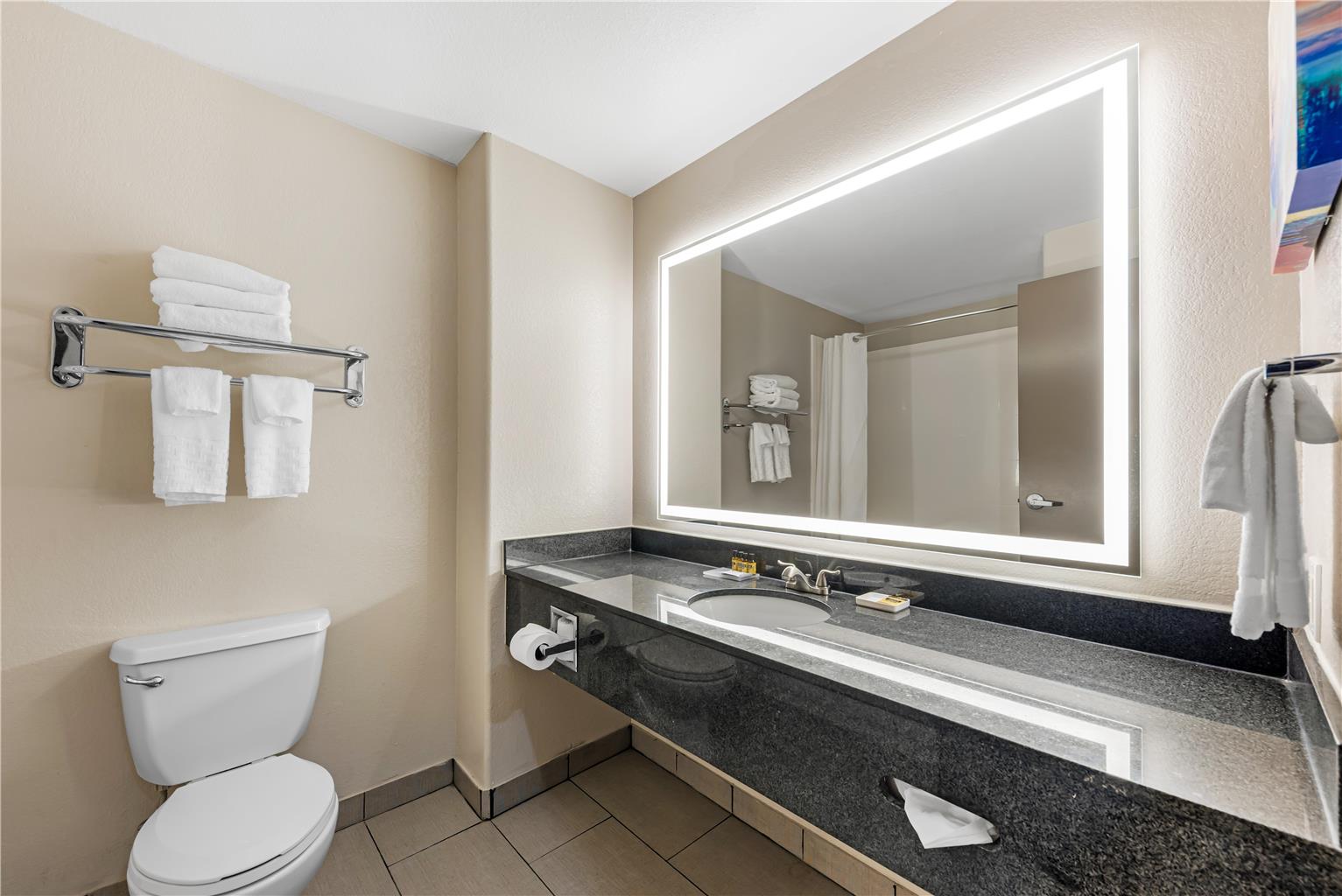 Best Western Plus Killeen Fort Cavazos Hotel & Suites - photo 23