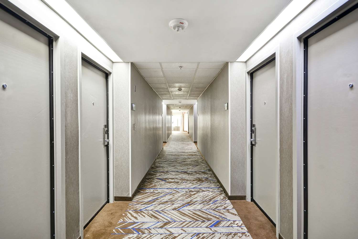 Hampton Inn Detroit Madison Heights South Troy - photo 32
