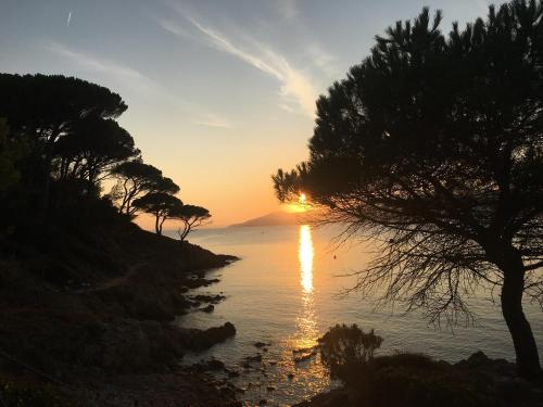 Les Jasmins in La Croix-Valmer, France