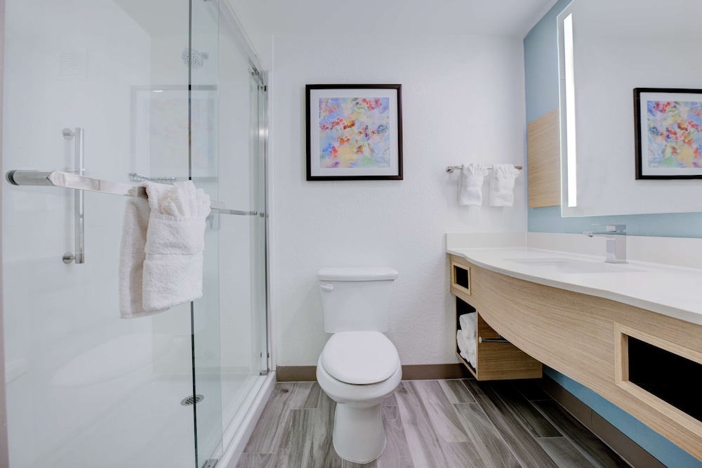 Hilton Garden Inn Anaheim Garden Grove - photo 13