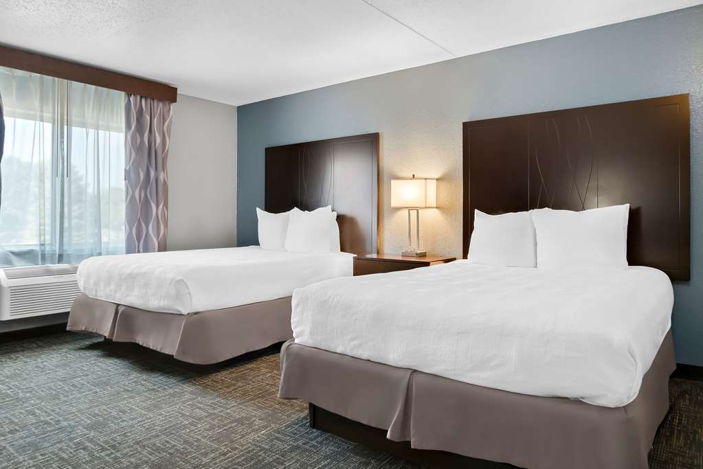 Best Western Plus Flint Airport Inn & Suites - photo 14