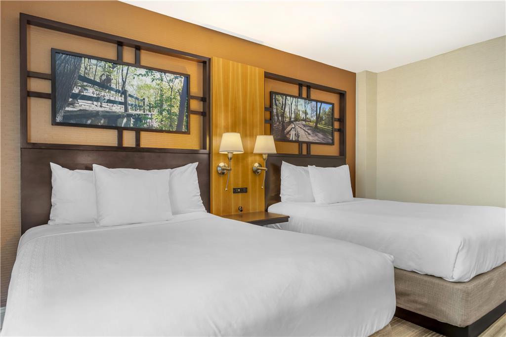 Best Western Queens Gold Coast - photo 19