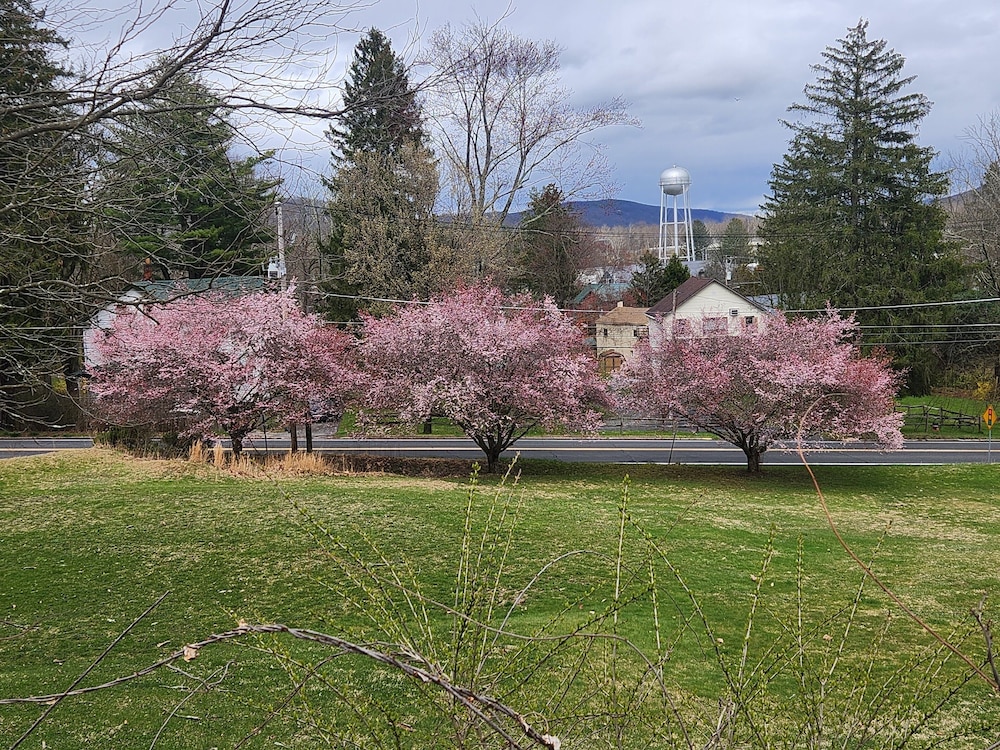 Glenwood Inn Stroudsburg - photo 40