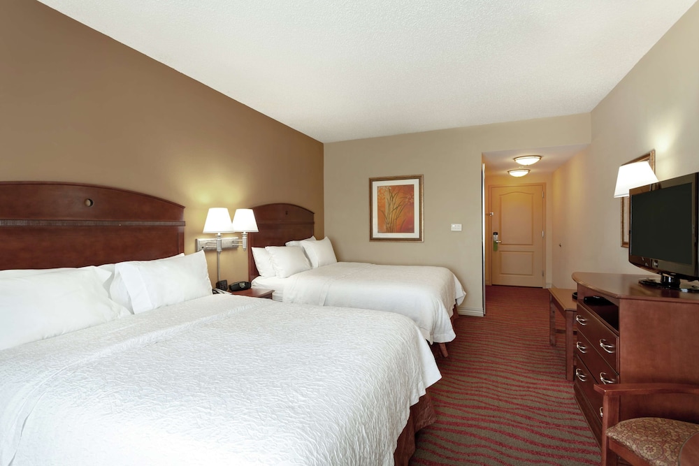Hampton Inn & Suites Port Richey - photo 14
