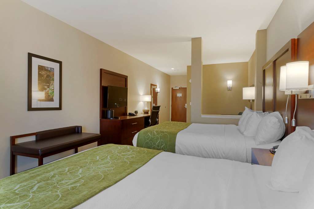 Comfort Suites Piedmont Greenville South - photo 34