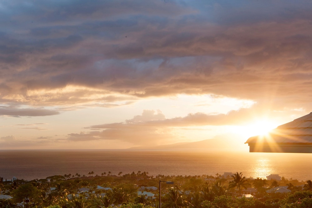 Hotel Wailea Relais & Chateaux Adults Only - photo 91